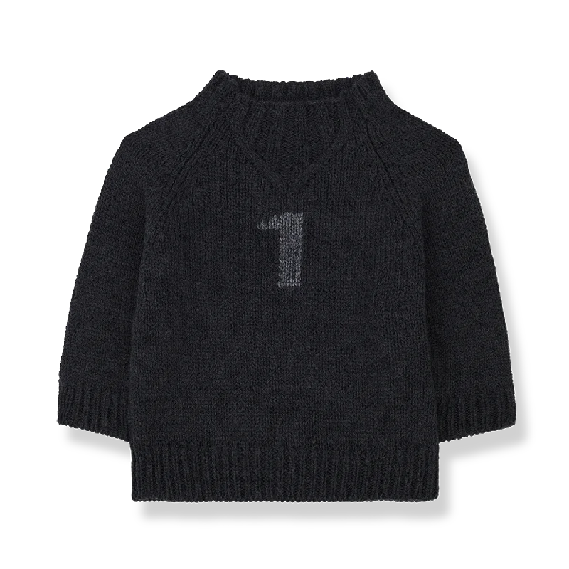 One more in the family Leo number one anthracite Sweater